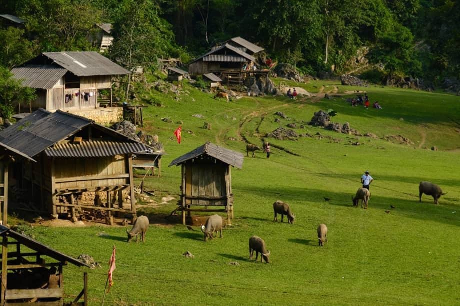 Hang Táu Mộc Châu: Hành Trình Tìm Về "Làng Nguyên Thủy" Giữa Thung Lũng Hoang Sơ
